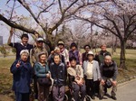 お花見ツアー　開成山公園